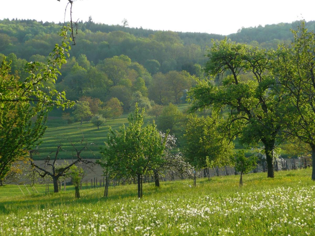 Готель La Pomme De Pin Raedersdorf Екстер'єр фото